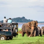 Udawalawe NP