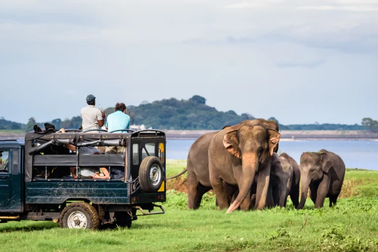 Udawalawe NP